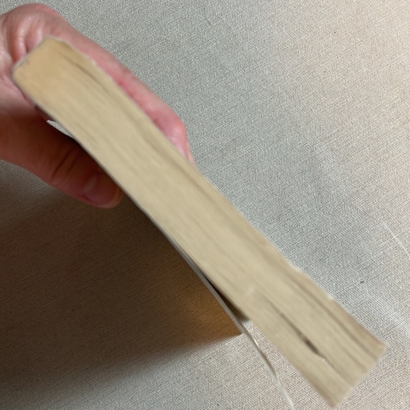 📚2/$6  The Other Boy - Picture 6 of 12